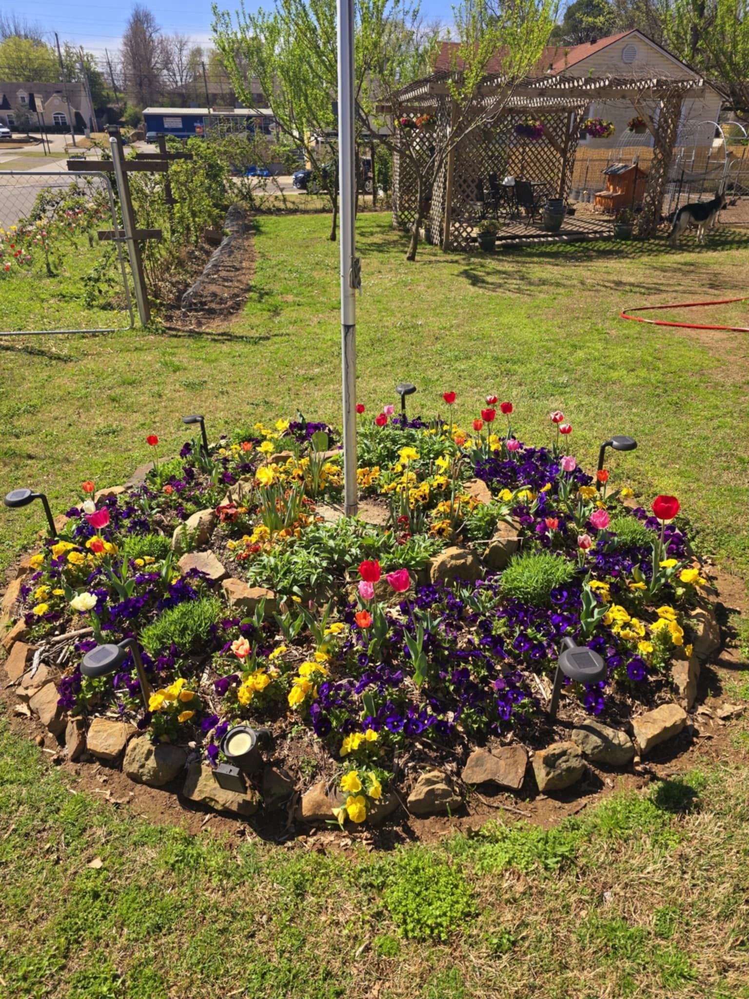 Colorful flower garden bed with spring blooms